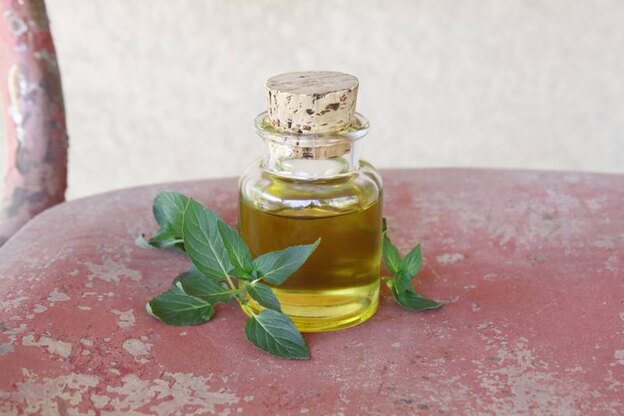 روغن پوست 2