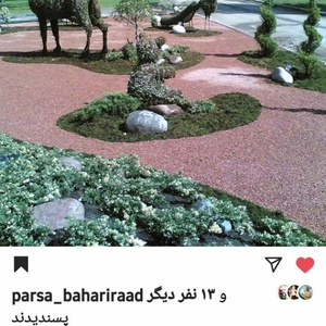 تصویر گالری