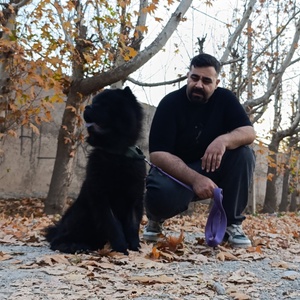 تصویر گالری