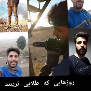 تصویر گالری