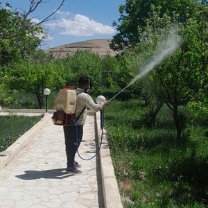 تصویر گالری