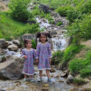 تصویر گالری