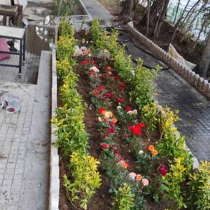 تصویر گالری