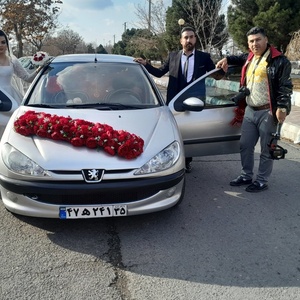 تصویر گالری