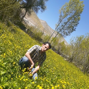 تصویر گالری