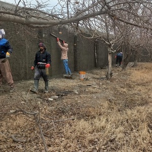 تصویر گالری