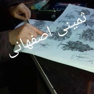 تصویر گالری