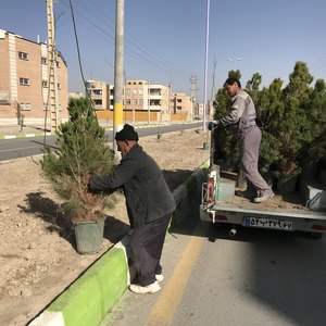 تصویر گالری