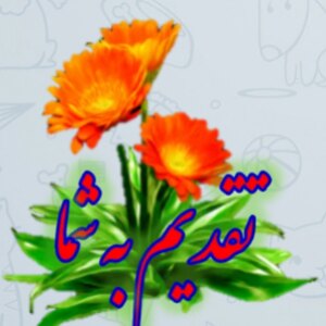 تصویر گالری