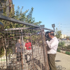 تصویر گالری