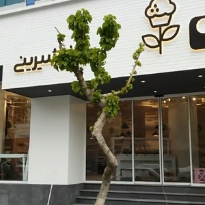 تصویر گالری