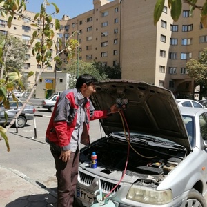 تصویر گالری