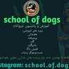 تصویر پروفایل اموزشگاه پانسیون school.of.dogs