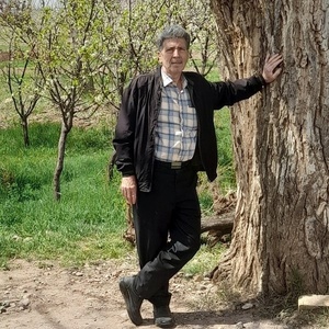 قربانعلی رستمی