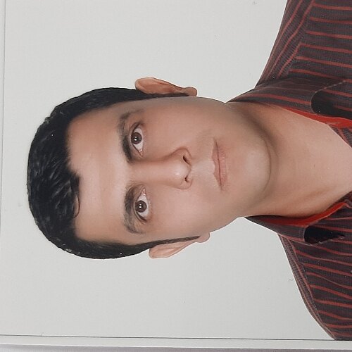 محمدرضا صیادی