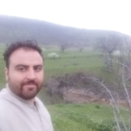 حامد حیدری گرده زایلو