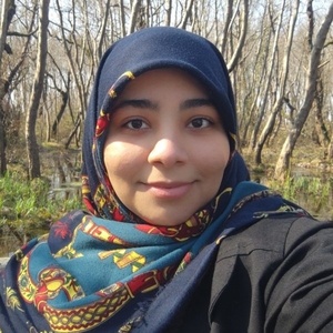 مائده جهانی