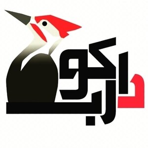 سجاد رشیدی