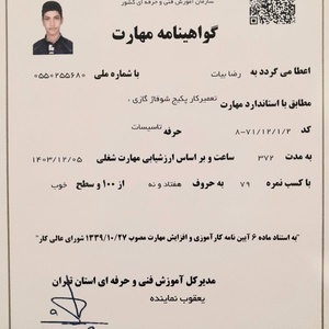 رضا بیات