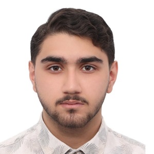پارسا مرادی