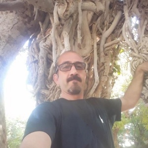 مرتضی هوشیار