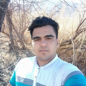 میثم قوی پور