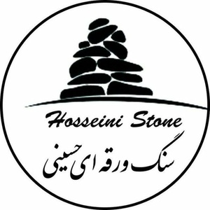 رضا حسینی