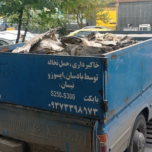 رضا پیرفلک