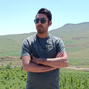 امیر حسین حاتمیان همدانی