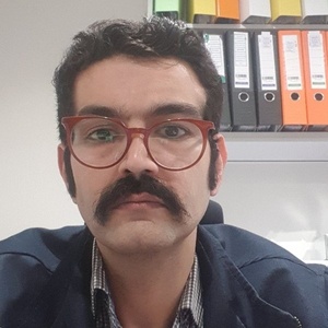 بیژن معروفی