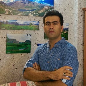 گرجی