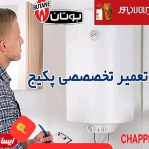 سید مجتبی احمدی