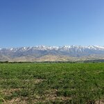 تصویر پروفایل مهدی R