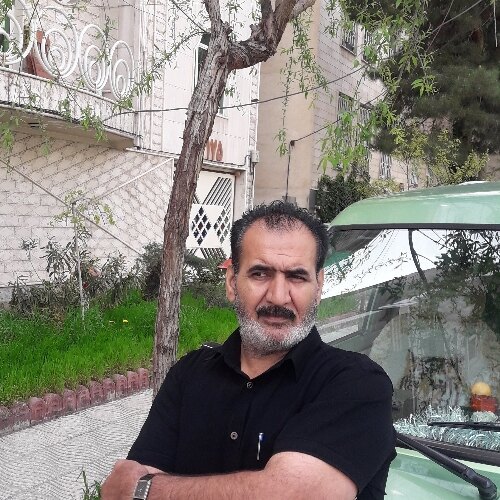 داود رفیعی