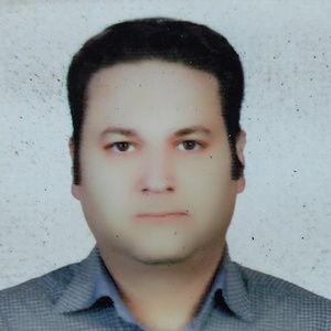 محمد مهدی صدفی طهران