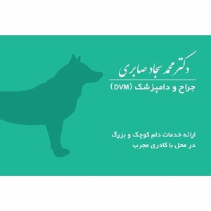 دکتر محمدسجاد صابری