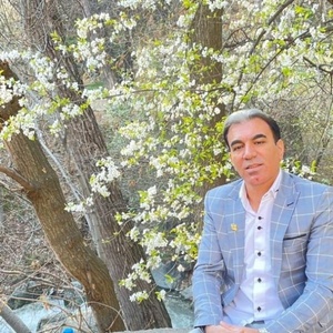 محمد حسنی