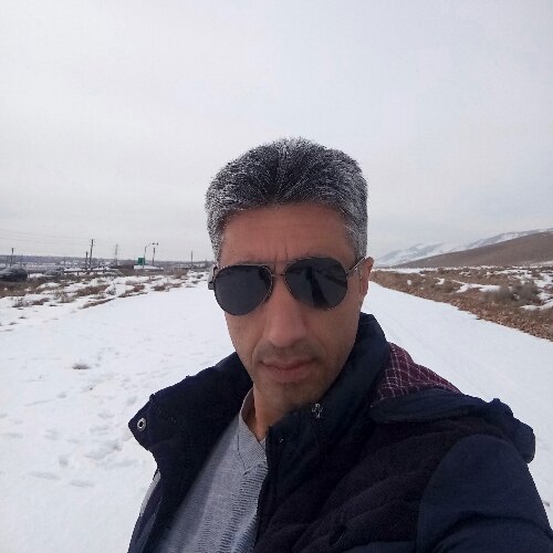 محمود ولیزاده