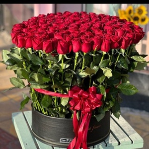 الناز اوج