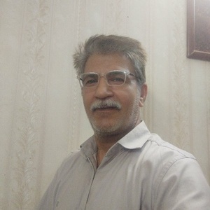 محمد جواد عشقی پور