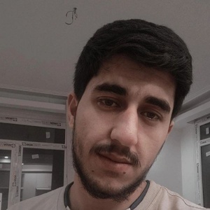 بهنام مردانی