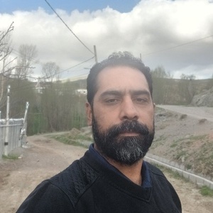امیر ساسان محمودی