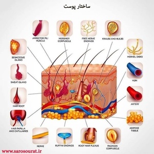 ونوس اورانوس