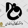 تصویر پروفایل احسان محمدکریمی