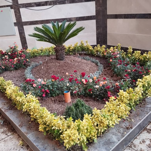 سید امیر حسین سید محمدی