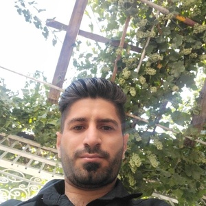 رضا نجفی