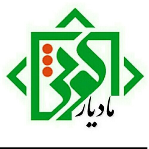سید مهدی متین