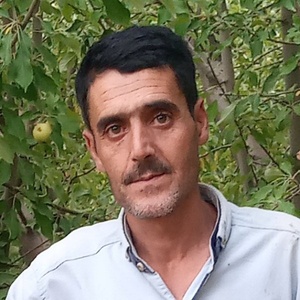 محمدعلی نصرالهی