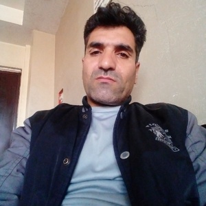 محمود رضایی مقدم