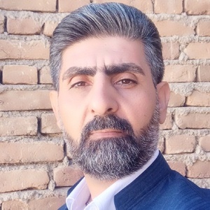 عابدین ویسی